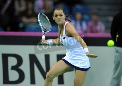 Papier peint  Match de tennis Agnieszka Radwanska