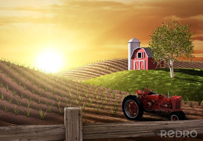 Papier peint  Matin à la ferme