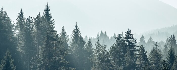 Papier peint  Matin d'automne dans les montagnes