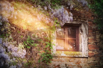 Papier peint  Matinée dans une vieille maison déserte