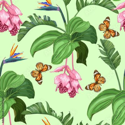 Papier peint  Medinilla, strelitzia, tropical flowers, leaves, and butterflies. Seamless vector pattern on a green background.