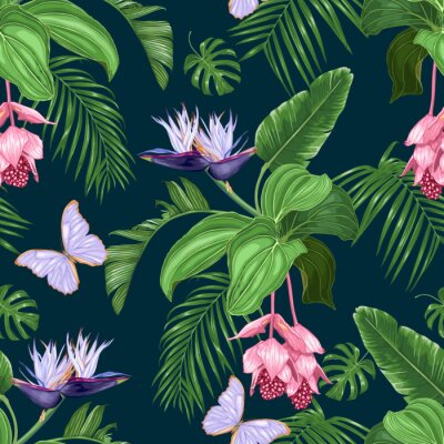 Papier peint  Medinilla, white strelitzia, purple butterflies, tropical leaves on a dark background. Seamless vector pattern.