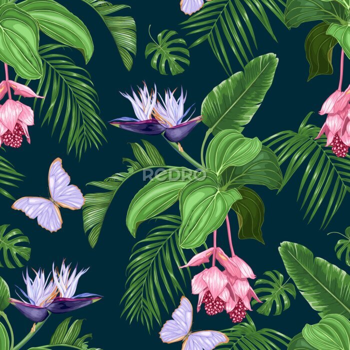 Papier peint  Medinilla, white strelitzia, purple butterflies, tropical leaves on a dark background. Seamless vector pattern.