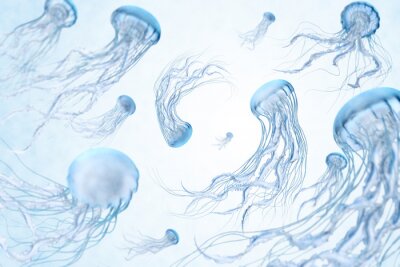 Papier peint  Méduses dansantes sur fond clair