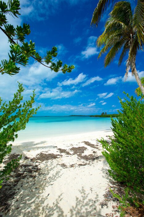 Papier peint  Mer 3D avec palmiers