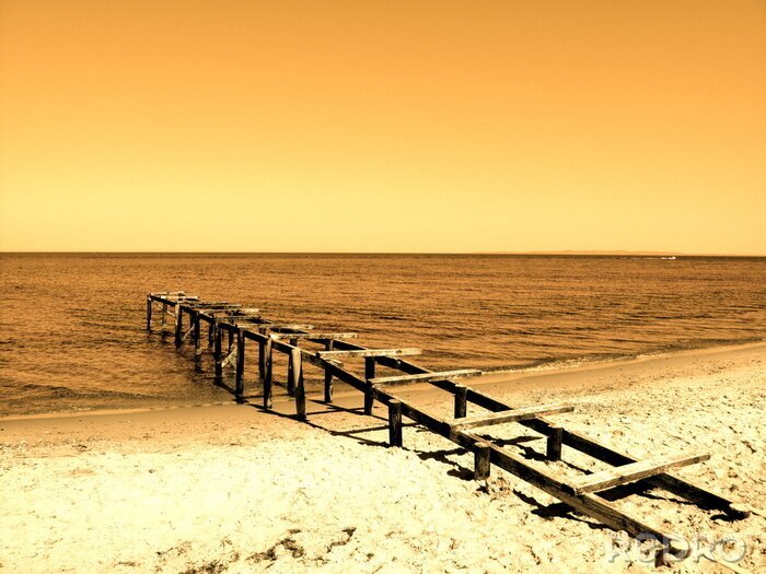 Papier peint  Mer en sépia