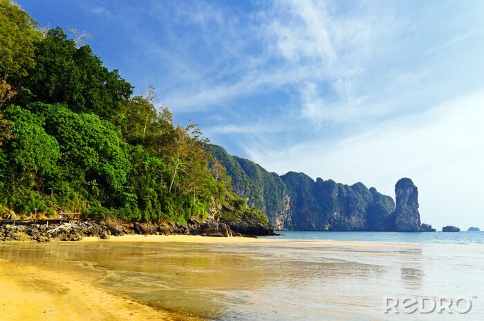 Papier peint  Mer et nature exotique