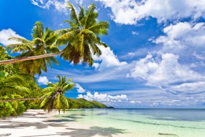 Papier peint  Mer et palmiers aux Seychelles