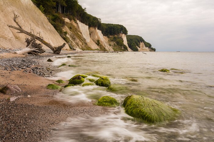 Papier peint  Mer et plage avec des plantes