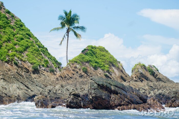 Papier peint  Mer et plantes au Costa Rica