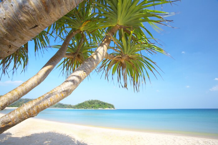 Papier peint  Mer exotique turquoise