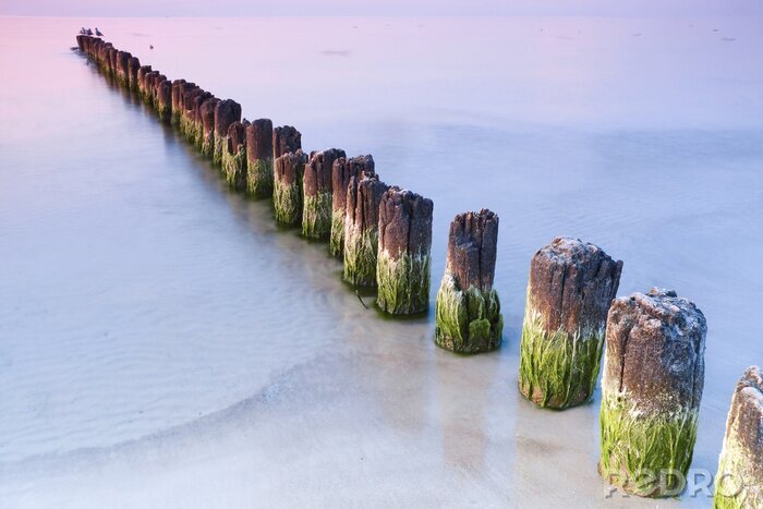 Papier peint  Mer gelée en hiver