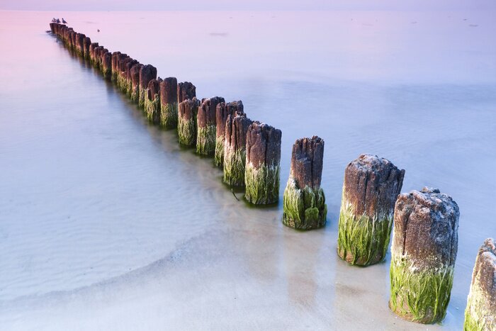 Papier peint  Mer gelée en hiver