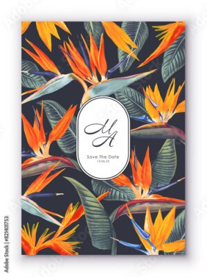 Papier peint  Minimalistic colorful template with text space for your design. Realistic hand drawn Strelitzia flowers and leaves. Bright tropical plant in a template for cards, labels, gift products, prints