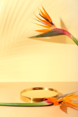 Papier peint  Mirror and beautiful strelitzia flowers on color background