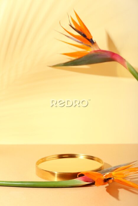 Papier peint  Mirror and beautiful strelitzia flowers on color background