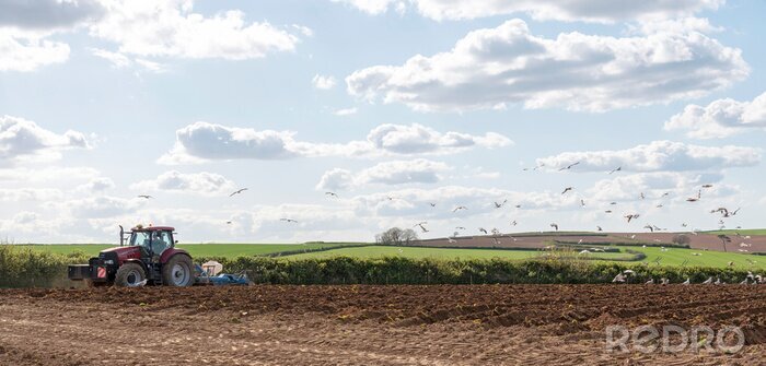Papier peint  Modbury, South Devon, England, UK. May 2019. A tractor ploughing deep furrows preparing a field for planting potatoes near Modbury, Devon, The background high ground is Dartmoor National Park.
