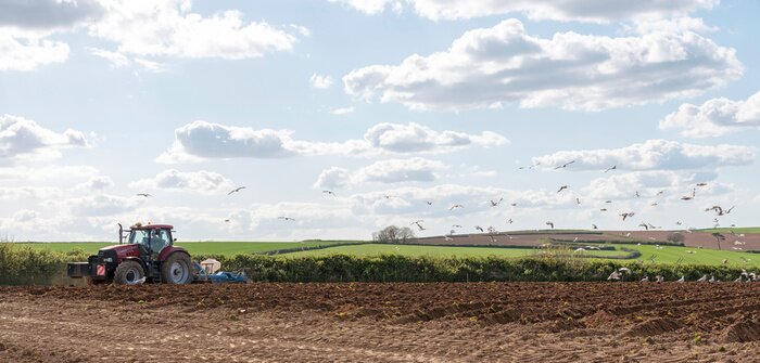 Papier peint  Modbury, South Devon, England, UK. May 2019. A tractor ploughing deep furrows preparing a field for planting potatoes near Modbury, Devon, The background high ground is Dartmoor National Park.