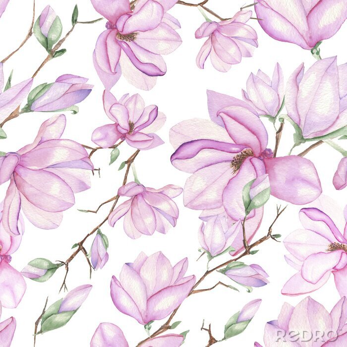 Papier peint  Modèle aquarelle avec magnolias