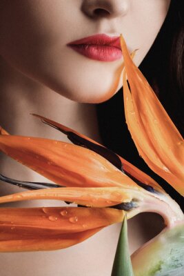 Papier peint  Modèle de belle fille dans une longue robe rouge sur un fond de vin de couleur avec un bouquet de fleurs strelitzia.