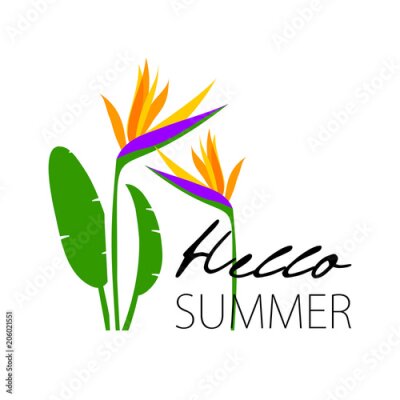 Papier peint  Modèle de logo de clinique esthétique. Icône de la fleur de strelitzia