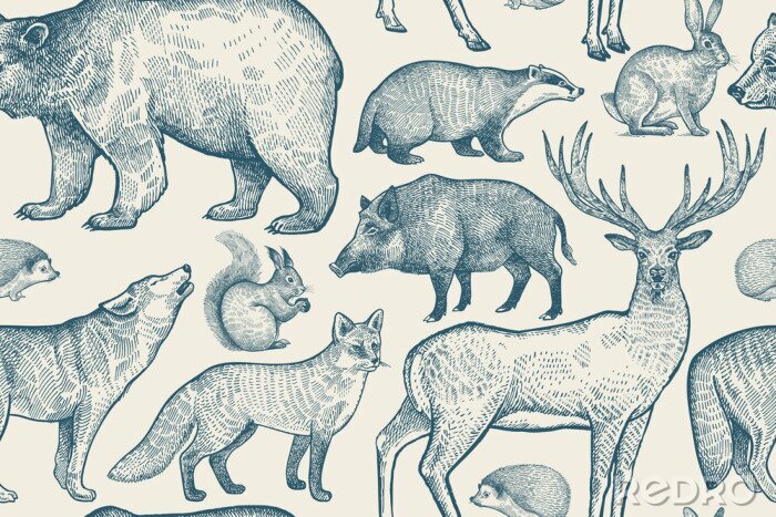 Papier peint  Modèle sans couture avec des animaux.