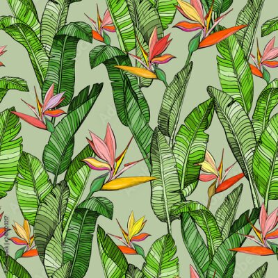 Papier peint  Modèle sans couture avec des fleurs d'oiseau de paradis Strelitzia