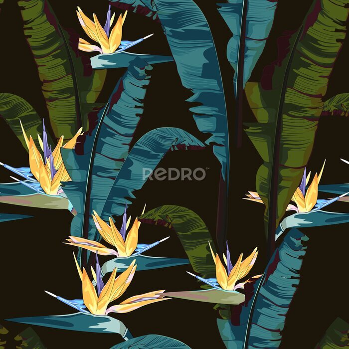 Papier peint  Modèle sans couture d'été tropic avec feuille de bananier palm et plantes. Strelitzia paradis floral fleurs feuilles et feuilles de bananes