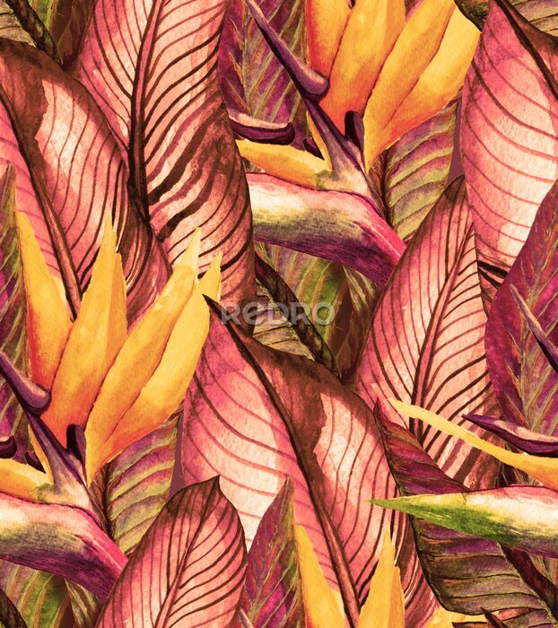 Papier peint  Modèle sans couture d'été tropical avec des feuilles de bananier et des fleurs de strelitzia. Aquarelle Illustration vintage avec une forêt tropicale