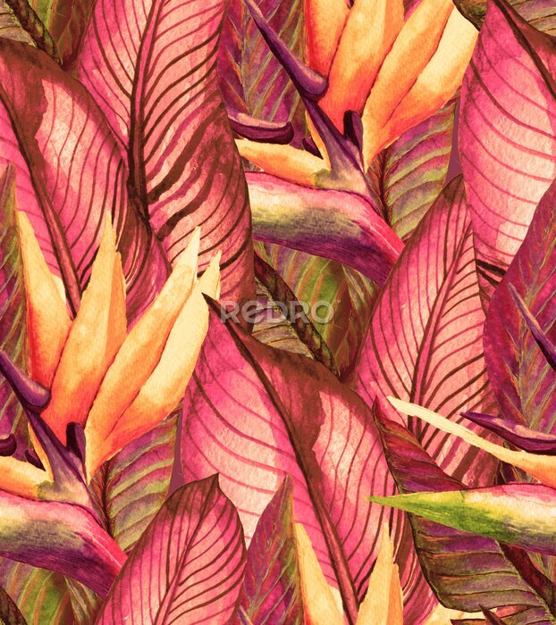 Papier peint  Modèle sans couture d'été tropical avec des feuilles de bananier et des fleurs de strelitzia. Aquarelle Illustration vintage avec une forêt tropicale