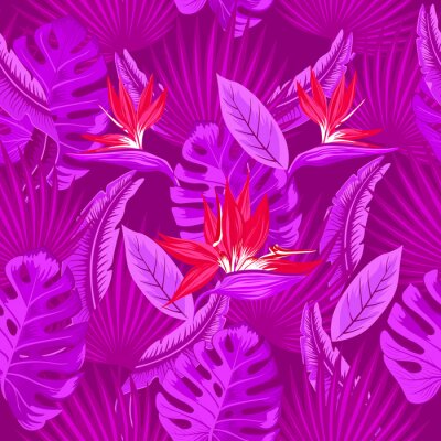 Papier peint  Modèle sans couture de feuilles de palmier violet néon tropical, feuilles de monstera et fleurs de corail de l'oiseau de paradis (Strelitzia) plumeria sur fond violet. Conception de tendance de papier