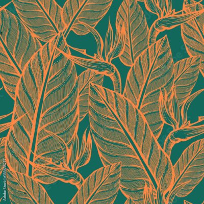 Papier peint  Modèle sans couture de fleurs exotiques. Strelitzia. Été. Fond d'écran de plantes tropicales.