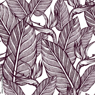 Papier peint  Modèle sans couture de fleurs exotiques. Strelitzia. Été. Fond d'écran de plantes tropicales. Arrière-plan graphique.