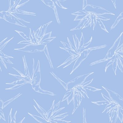 Papier peint  Modèle sans couture de la collection de strelitzia linéaire. Fleurs exotiques de vecteur d'un oiseau de paradis. Style de croquis. Modèle de tissu, affiche, conception d'emballage, conception de sites