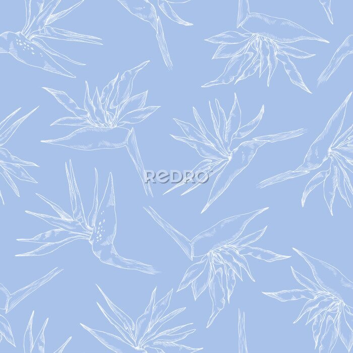 Papier peint  Modèle sans couture de la collection de strelitzia linéaire. Fleurs exotiques de vecteur d'un oiseau de paradis. Style de croquis. Modèle de tissu, affiche, conception d'emballage, conception de sites