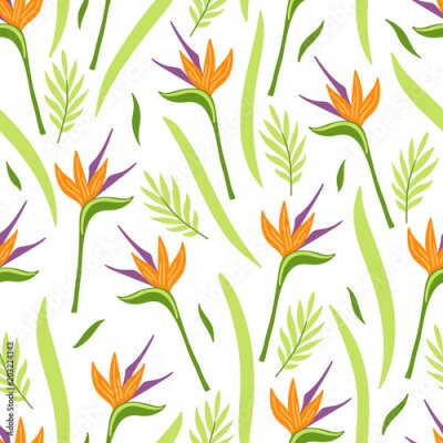 Papier peint  Modèle sans couture de la jungle avec strelitzia, feuilles tropicales sur fond blanc