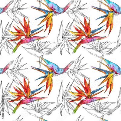 Papier peint  Modèle sans couture de plante tropicale de strelitzia. Aquarelle dessinés à la main des fleurs et des feuilles. Concevez des cartes d'invitation, de mariage ou de souhaits, des vêtements, des imprimés