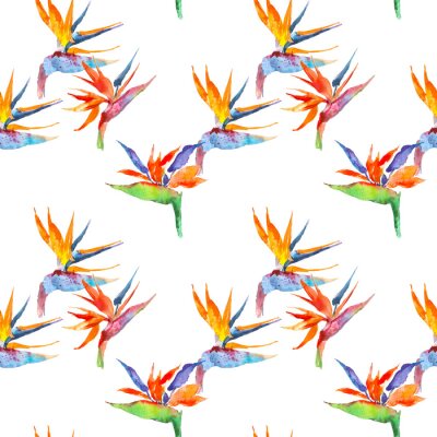 Papier peint  Modèle sans couture de plante tropicale de strelitzia. Aquarelle dessinés à la main des fleurs et des feuilles. Concevez des cartes d'invitation, de mariage ou de souhaits, des vêtements, des imprimés