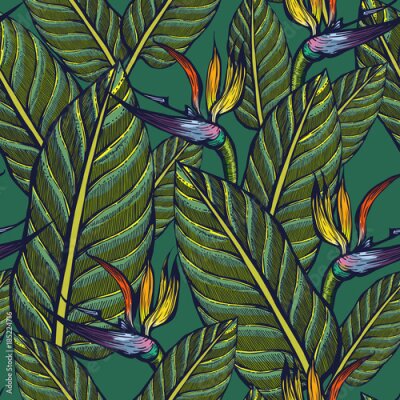 Papier peint  Modèle sans couture de plantes exotiques. Strelitzia. Fleurs et feuilles Contexte. Impression verte.