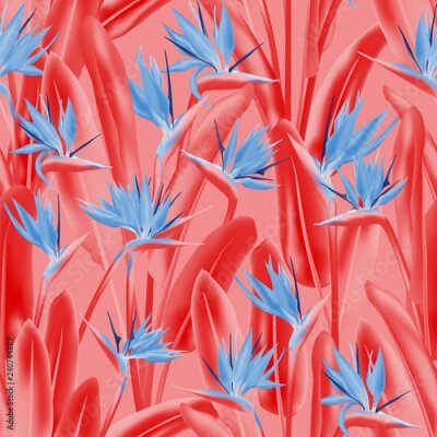 Papier peint  Modèle sans couture de vecteur de fleurs tropicales Strelitzia reginae. Conception d'impression de tissu de plantes tropicales de Bohême. Afrique du Sud plante tropicale fleur de fleur de grue, streli