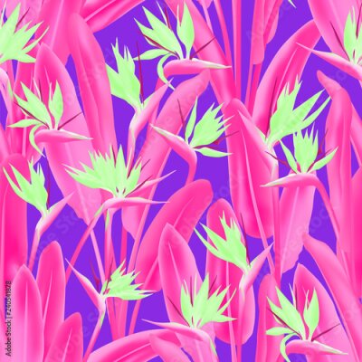 Papier peint  Modèle sans couture de vecteur de fleurs tropicales Strelitzia reginae. Conception de tissu de plantes tropicales exotiques de la jungle. Afrique du Sud plante tropicale fleur de fleur de grue, streli