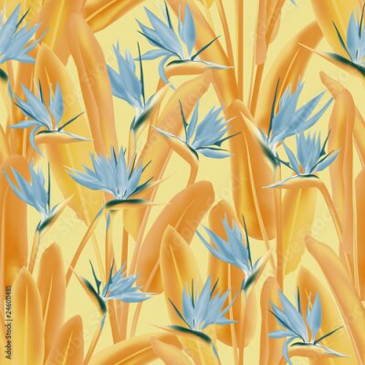 Papier peint  Modèle sans couture de vecteur de fleurs tropicales Strelitzia reginae. Conception de tissu de plantes tropicales exotiques de la jungle. Afrique du Sud plante tropicale fleur de fleur de grue, streli