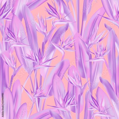 Papier peint  Modèle sans couture de vecteur de fleurs tropicales Strelitzia reginae. Conception de tissu tropical été jungle plante paradis. Afrique du Sud plante tropicale fleur de fleur de grue, strelitzia. Impr