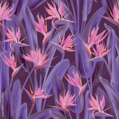 Papier peint  Modèle sans couture de vecteur de fleurs tropicales Strelitzia reginae. Conception de tissu tropical été jungle plante paradis. Afrique du Sud plante tropicale fleur de fleur de grue, strelitzia. Impr