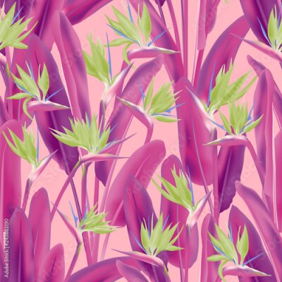 Papier peint  Modèle sans couture de vecteur de fleurs tropicales Strelitzia reginae. Conception de tissu tropical été jungle plante paradis. Afrique du Sud plante tropicale fleur de fleur de grue, strelitzia. Papi