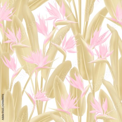 Papier peint  Modèle sans couture de vecteur de fleurs tropicales Strelitzia reginae. Conception de tissu tropical été jungle plante paradis. Afrique du Sud plante tropicale fleur de fleur de grue, strelitzia. Papi