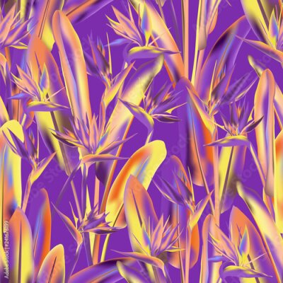Papier peint  Modèle sans couture de vecteur fleur grue tropicale. Conception d'impression de tissu de plantes tropicales de Bohême. Afrique du Sud plante tropicale fleur de fleur de grue, strelitzia. Imprimé texti