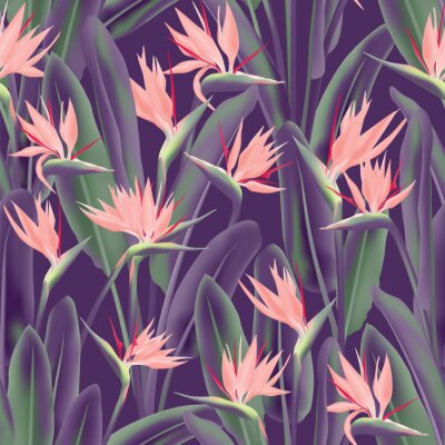 Papier peint  Modèle sans couture de vecteur fleur grue tropicale. Conception de tissu de plantes tropicales exotiques de la jungle. Afrique du Sud plante tropicale fleur de fleur de grue, strelitzia. Imprimé texti