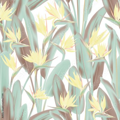 Papier peint  Modèle sans couture de vecteur fleur grue tropicale. Conception de tissu de plantes tropicales exotiques de la jungle. Afrique du Sud plante tropicale fleur de fleur de grue, strelitzia. Papier peint 