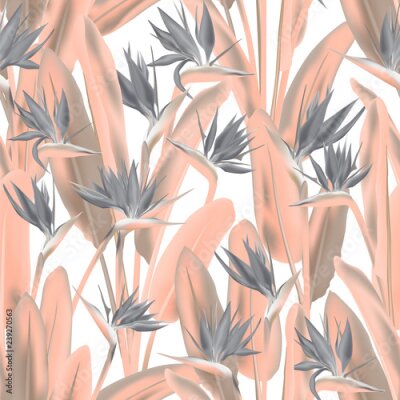 Papier peint  Modèle sans couture de vecteur fleur grue tropicale. Conception de tissu tropical été jungle plante paradis. Afrique du Sud plante tropicale fleur de fleur de grue, strelitzia. Imprimé textile floral.